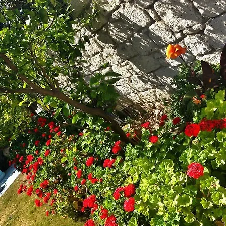 Zeren 3* Alacati