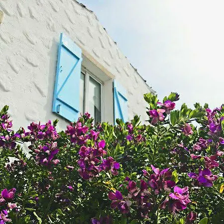 Zeren 3* Alacati